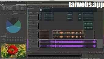 Adobe Audition