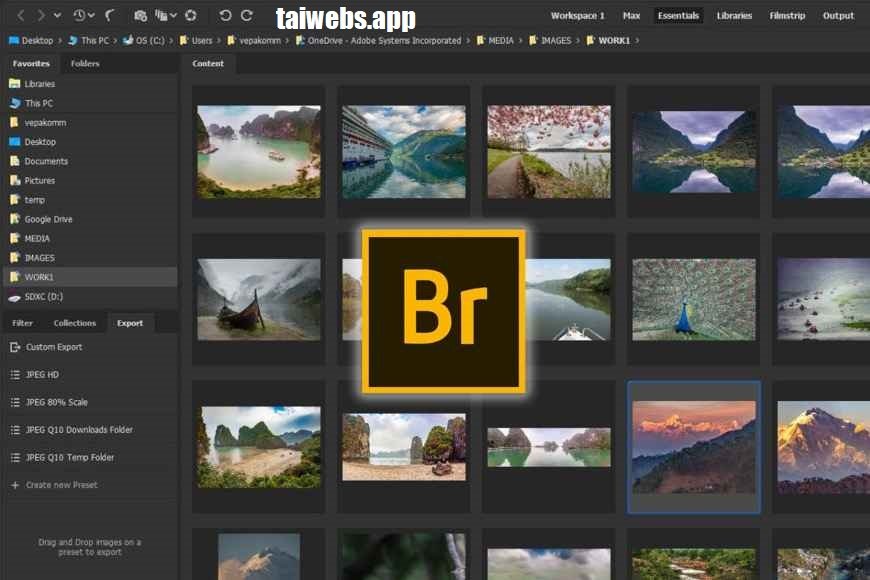 Adobe Bridge