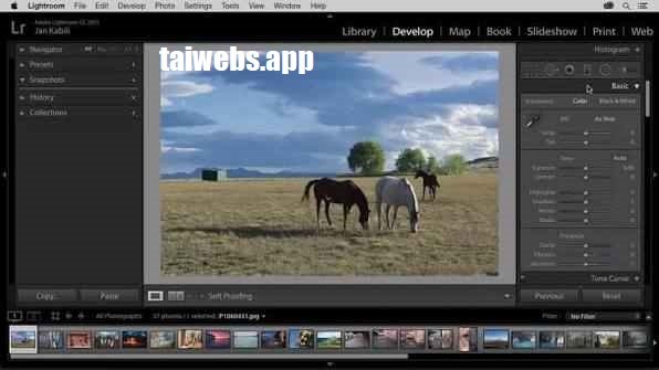 Adobe Lightroom Classic