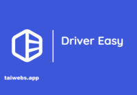 Driver Easy