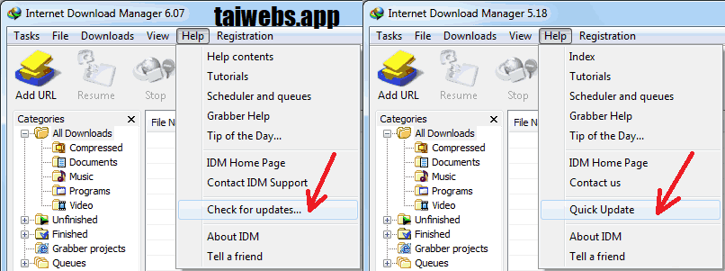Internet Download Manager