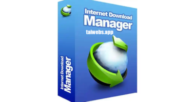 Internet Download Manager