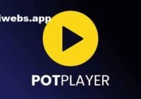 PotPlayer