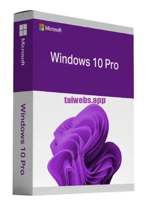 Windows 10 Pro